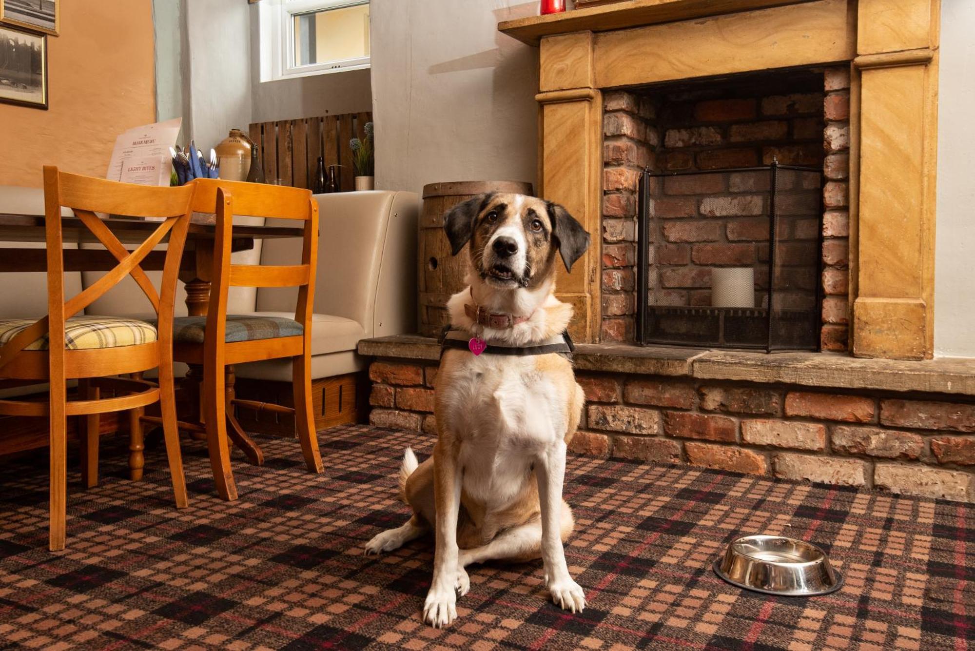 The Lindisfarne Inn - The Inn Collection Group Beal المظهر الخارجي الصورة
